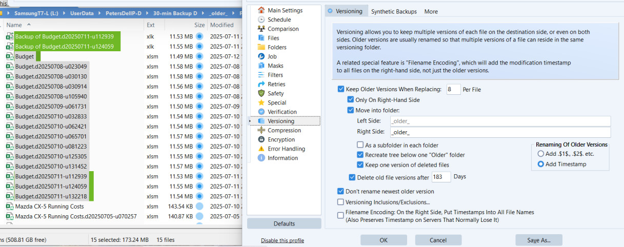 20250712 versions.jpg