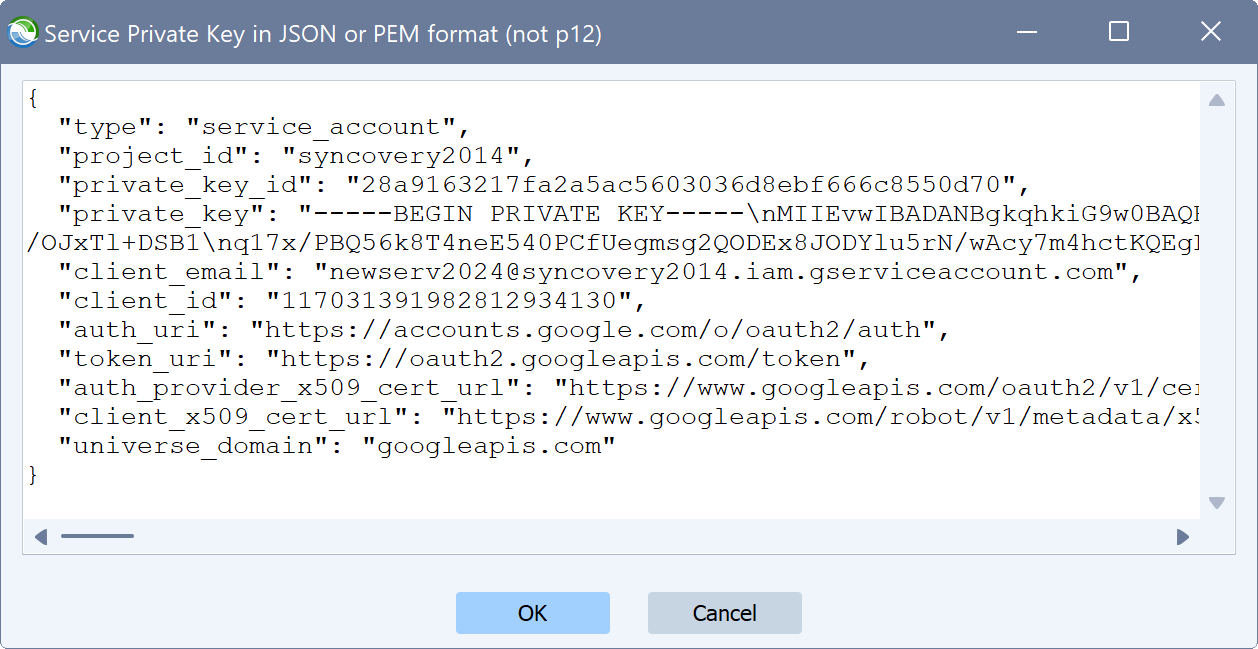 A screenshot showing how a Google Cloud service account's private key is entered into Syncovery